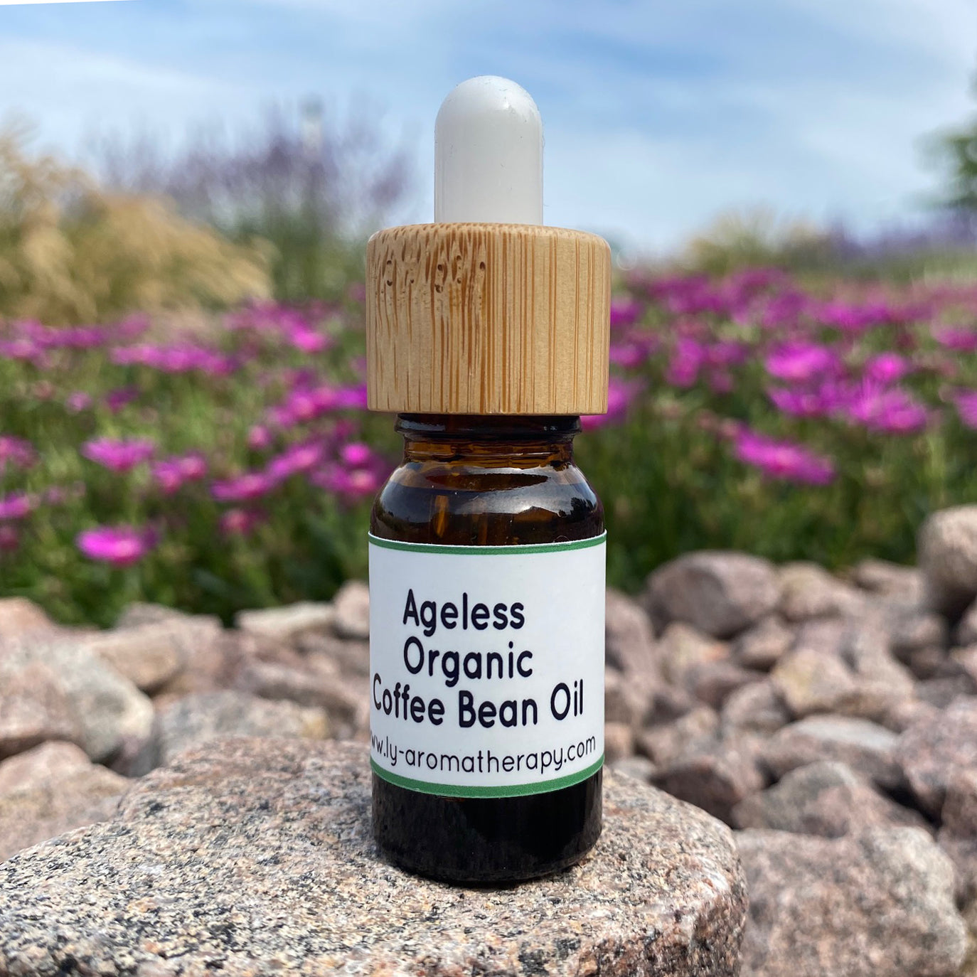 Ageless Organic Coffee Bean Oil
