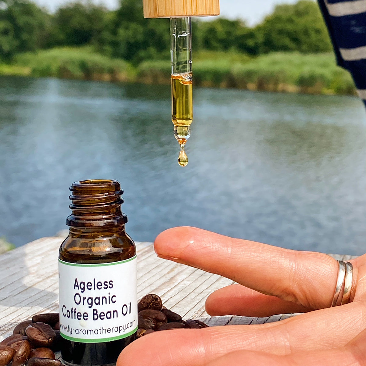 Ageless Organic Coffee Bean Oil